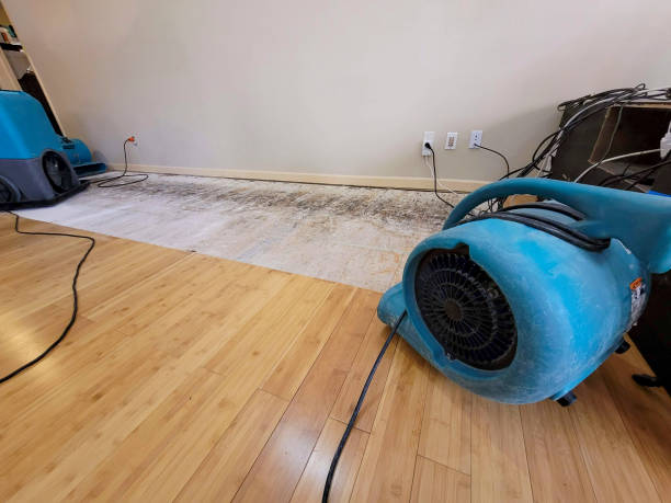 Professional Water Damage Repair technician working in Cooperstown, PA